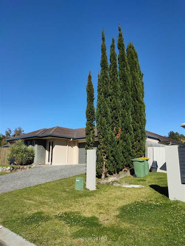 Stump Grinding Parrearra