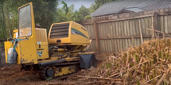 Bamboo Grinding and Removal Sunshine Coast Specialists