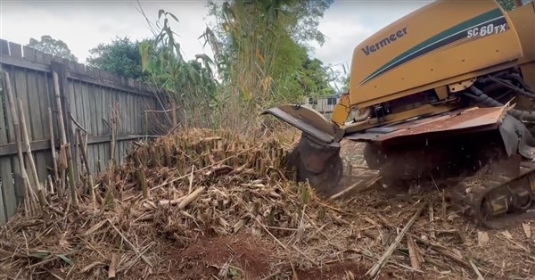 Stump Removal Maroochydore