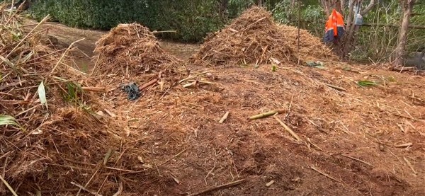 Stump Removal Marcoola