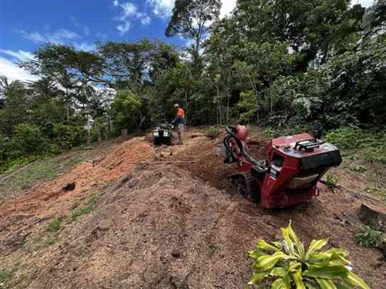 Stump Grinding Chevallum