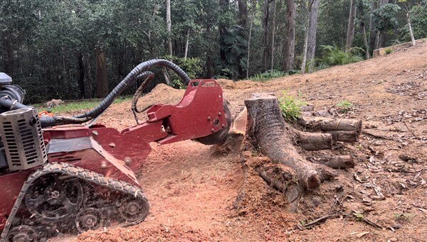 Stump Grinding Black Mountain