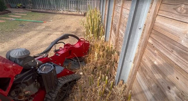 Stump Removal Cooran