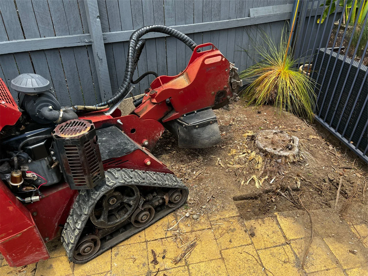 tree stump grinding sunshine coast