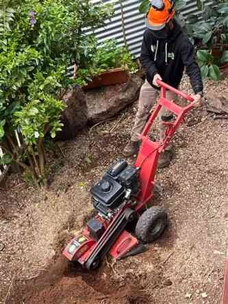 Stump Removal Boreen Point