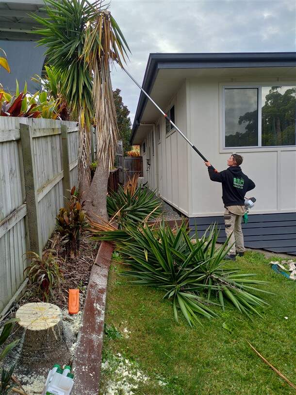 Stump Removal Aroon