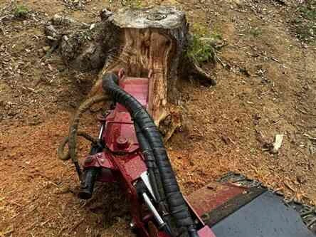 Stump Removal Cambroon