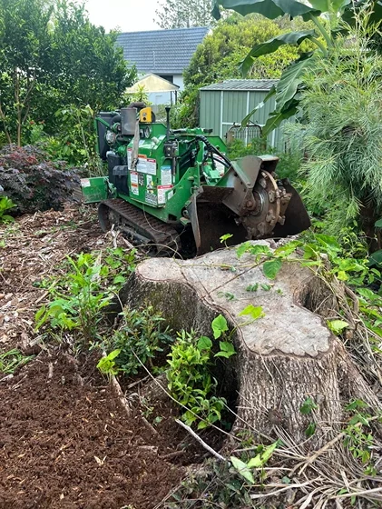 Stump Grinding Doonan
