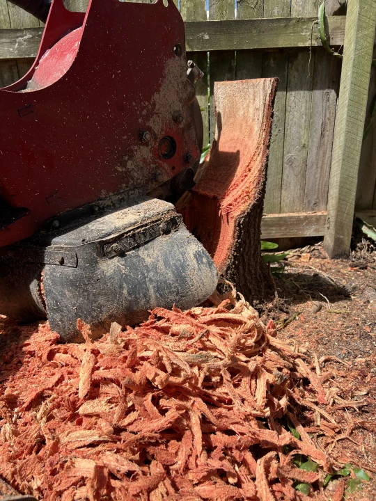 Stump Grinding Gheerulla