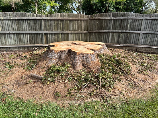Stump Grinding Cooroibah