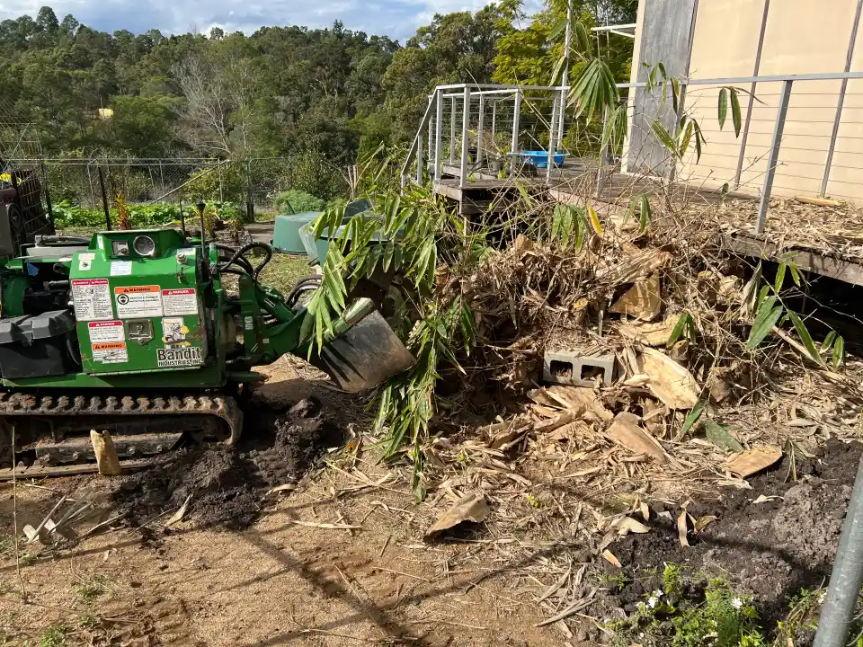 Stump Grinding Kunda Park