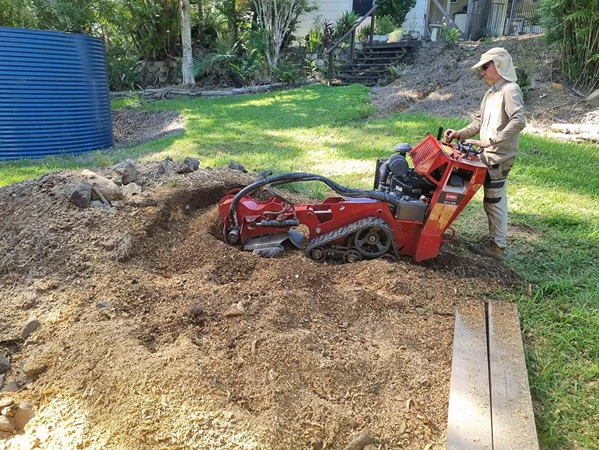 Stump Grinding Pacific Paradise