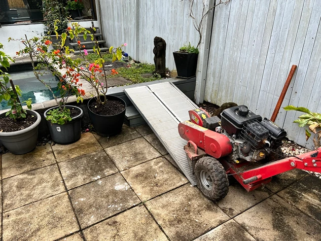 Stump Grinding Mountain Creek