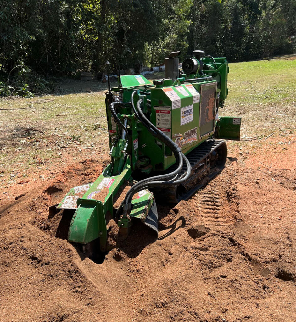 tree stump removal sunshine coast